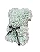 The Teddy Rose-10 Inches Mint Green Rose Hand Made Artificial Teddy Bear For Graduation, Valentine's Day, Father's Day, Mother's Day, Graduation, Christmas, Anniversary, Birthday, Wedding, Baby Shower