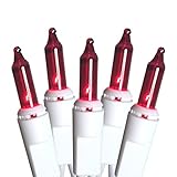 Everglow 50 Red String Lights on White Wire, 9' Lighted Length, 11' Total Length