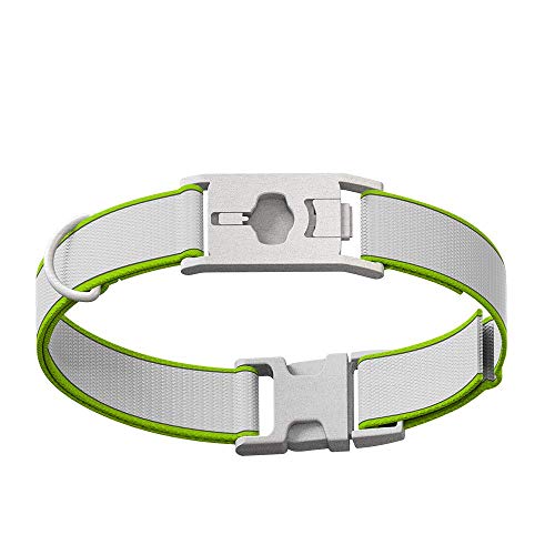 Whistle GO/GO Explore/Twist & Go Pet Collars/See Me Green/Large-XL