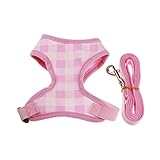 Clearance, OOEOO Dog Traction Harness Leash Lead
