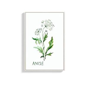 Framed Canvas Wall Art for Living Room, Bedroom Anise Canvas Prints for Home Decoration Ready to Hang - 16x24 inches