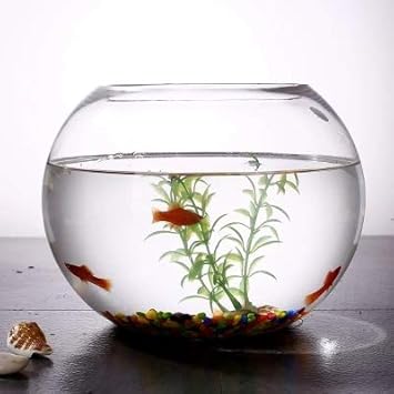 Sdmh Aquarium 35cm Glas Kreatives Rundes Nach Hause