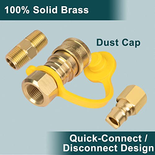 GASPRO 3/8 Inch Natural Gas Quick Connect Fittings, Natural and Propane