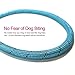 10 FT Strong Dog Leash Extra Heavy Duty Rock Climbing Rope Comfortable Padded Handle Highly Reflective Threads for Small Medium Large Dogs, 1/2 inch Diameter (Blue)