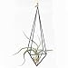 NCYP Modern Rustic Art Style Freestanding Hanging Metal Tillandsia Air Plant Rack Holder Black 10 inches Height Quadrilateral Pyramid Shape Geometric Hollow Flower pots, No Plants Included