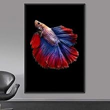 signwin Framed Canvas Wall Art Fish Bedroom Colorful Jellyfish Marine Life Multicolor Neon Photography Tropical - 16x24 inches