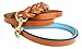 Soft Touch Collars Leather Braided Dog Leash, Tan with Teal Padded Handle, 6ft x 3/4