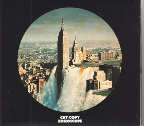 Above New York: Goldberger, Paul, Cameron, Robert: 9780918684424