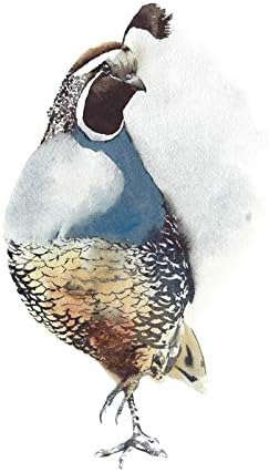 Amazon Com Watercolor Animal Painting Of A Quail Bird 9018220 24x36 Signed Print Master Art Print Wall Decor Poster Posters Prints
