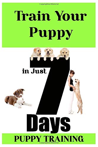 paper training puppy