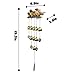 Monsiter QE Wind Chimes with Birds Decoration Outdoor Garden and Home Decor