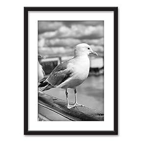 Framed A Seagull in Black White Black Picture...