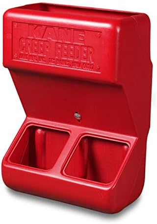 Amazon Com Kane Baby Pig Piglets Fence Crate Or Wall Mounted