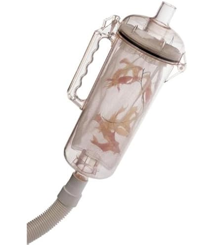 Amazon.com: Pentair R211600 Latch and O-Ring Kit Assembly