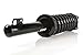 Prime Choice Auto Parts CST100290KS1011280 2 Front Struct Assemblies and 2 Rear Shocks