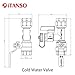 iTANSO 3/4-Inch IPS Isolator Tankless Water Heater Service Valve Kit with Clean Brass Construction
