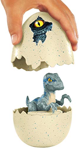 Mattel GmbH FMB92 Jurassic World Schlüpfender Dino Velociraptor, Blau – Bild 7
