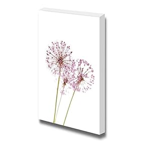 Canvas Prints Wall Art - Close Up of The Flowers of Some Chives - 18" x 12"