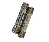 Pack of Two Ceramic Fast Fuses for