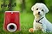 Felix & Fido Playball! Automatic Ball Launcher for Dogs. 3 Throwing Distance Settings, 3 Small Durable Tennis Balls Included, Launches Up to 20 Feet,for Indoor and Outdoor Play.for Small Dogs ONLY