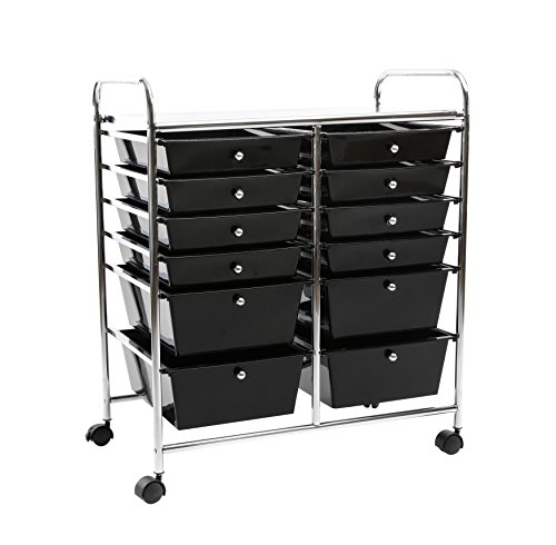 Finnhomy 12 Drawer Plastic Portable Mobile Organizer Import It All