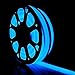 DELight Flexible 50ft Blue LED Neon Rope Light 1200pcs bulbs Christmas Decor Holiday Party Decoration Lighting