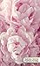 2020-2021 2 Year Pocket Planner: 2 Year Pocket Monthly Organizer & Calendar | Cute Two-Year (24 months) Agenda With Phone Book, Password Log and Notebook | Pretty Peony & Floral Pattern