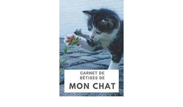 Carnet De Betises De Mon Chat Carnet De Betise I Carnet De Chat I Idee Cadeau Anniversaire Noel French Edition Miller Stephanie Amazon Com Books