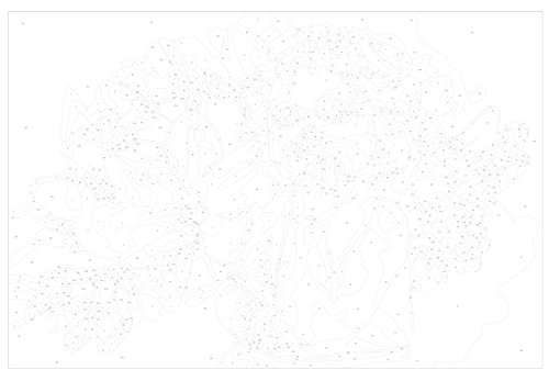 murando - Malen nach Zahlen Engel & Magnolien 60x40 cm Malset mit Holzrahmen auf Leinwand für Erwachsene Kinder Gemälde Handgemalt Kit DIY Geschenk Dekoration n-A-0540-d-a – Bild 6