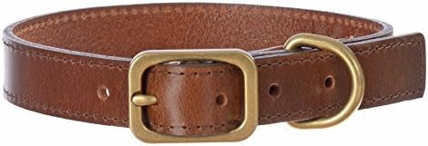 Pet Xccessories Premium Leather 1" Wide Adjustable Fashion Dog Collar (Peanut, L/XL)