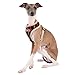 Puppia Life - Baxter Harness A, Puppia Baxter Harness A, MEDIUM, BLACK