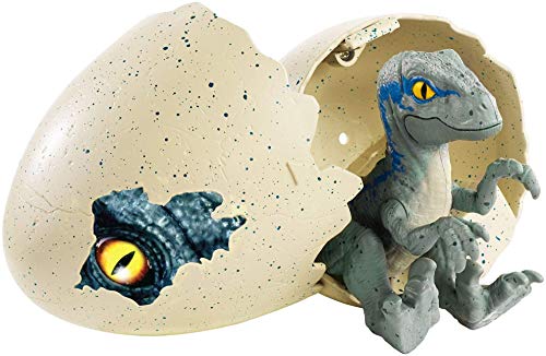 Mattel GmbH FMB92 Jurassic World Schlüpfender Dino Velociraptor, Blau – Bild 3