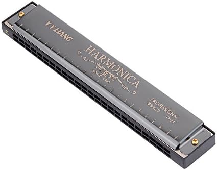 YYLIANG Children Beginner 24 Holes Double Tremolo harmonica - Polyphony harmonica -Blues harmonica- Key of C (Black)