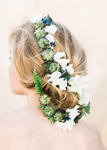 3 Succulent+Varieties+Beginners+Succulents+Terrariums