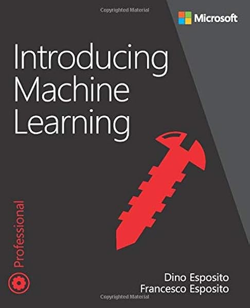 machine learning developer