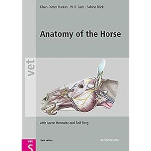 Anatomy of the Horse: with Aaron Horowitz and Rolf Berg