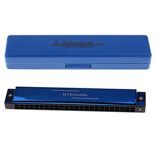 image for Jili Online Portable Professional 24 Hole Harmonica Key of C Mouth Org