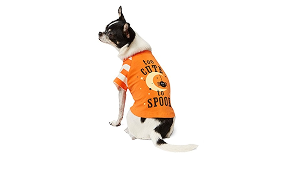 ut dog sweater