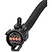 Spectra Premium FD22 Distributor