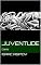 Livro Juventude: Conto