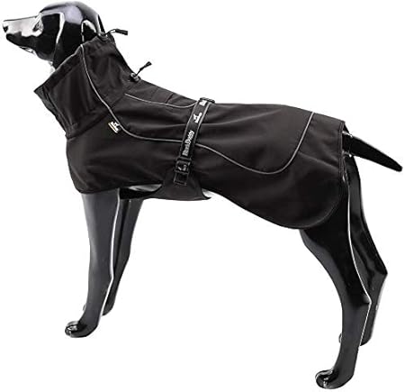 great dane dog coats