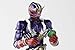 TAMASHII NATIONS Bandai S.H. Figuarts Kamen Rider Hibiki Action Figure
