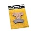 Race Driven Rear Brake Pads for Polaris Trail Blazer Scrambler Xpedition Sportsman Sport Xplorer Magnum Worker