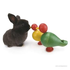 The Rabbit 2015: Broschürenkalender mit Ferienterminen