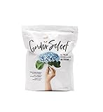 Garden Select for Blue Hydrangea Blossoms