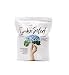 Garden Select for Blue Hydrangea Blossoms