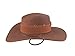 DAZCOS Brown McCree Cosplay Badge Cowboy Hat (Brown)