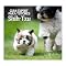 Livro GUIA EXPERT PARA CUIDADORES E TUTORES: SHIH-TZU