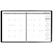 AT-A-GLANCE Monthly Planner / Appointment Book 2017, 15 Months, 9 x 11