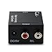 Digital To Analog Audio Converter, Cingk DAC Digital SPDIF Optical To Analog Stereo Audio L/R 2RCA Adapter With Optical Cable for Home Cinema Systems AV Amps Audio
